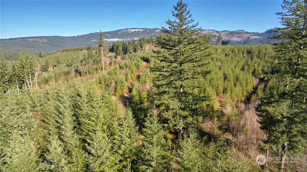 3 NE Jones Creek Road Camas, WA 98601