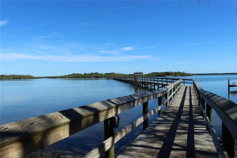 498 SIOUX BOULEVARD Oak Hill, FL 32759