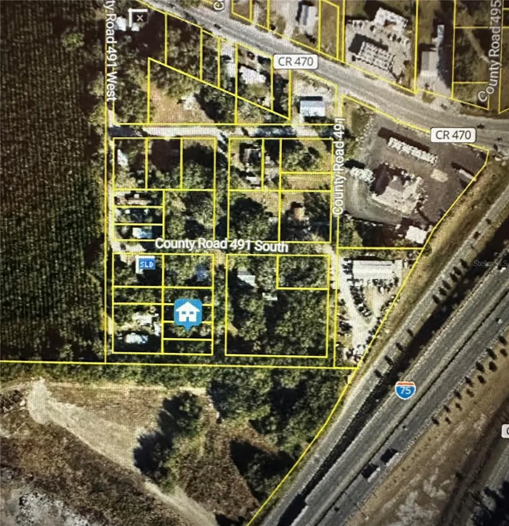 LOT #5 Lake Panasoffkee, FL 33538