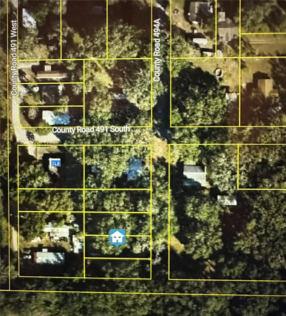 LOT #5 Lake Panasoffkee, FL 33538