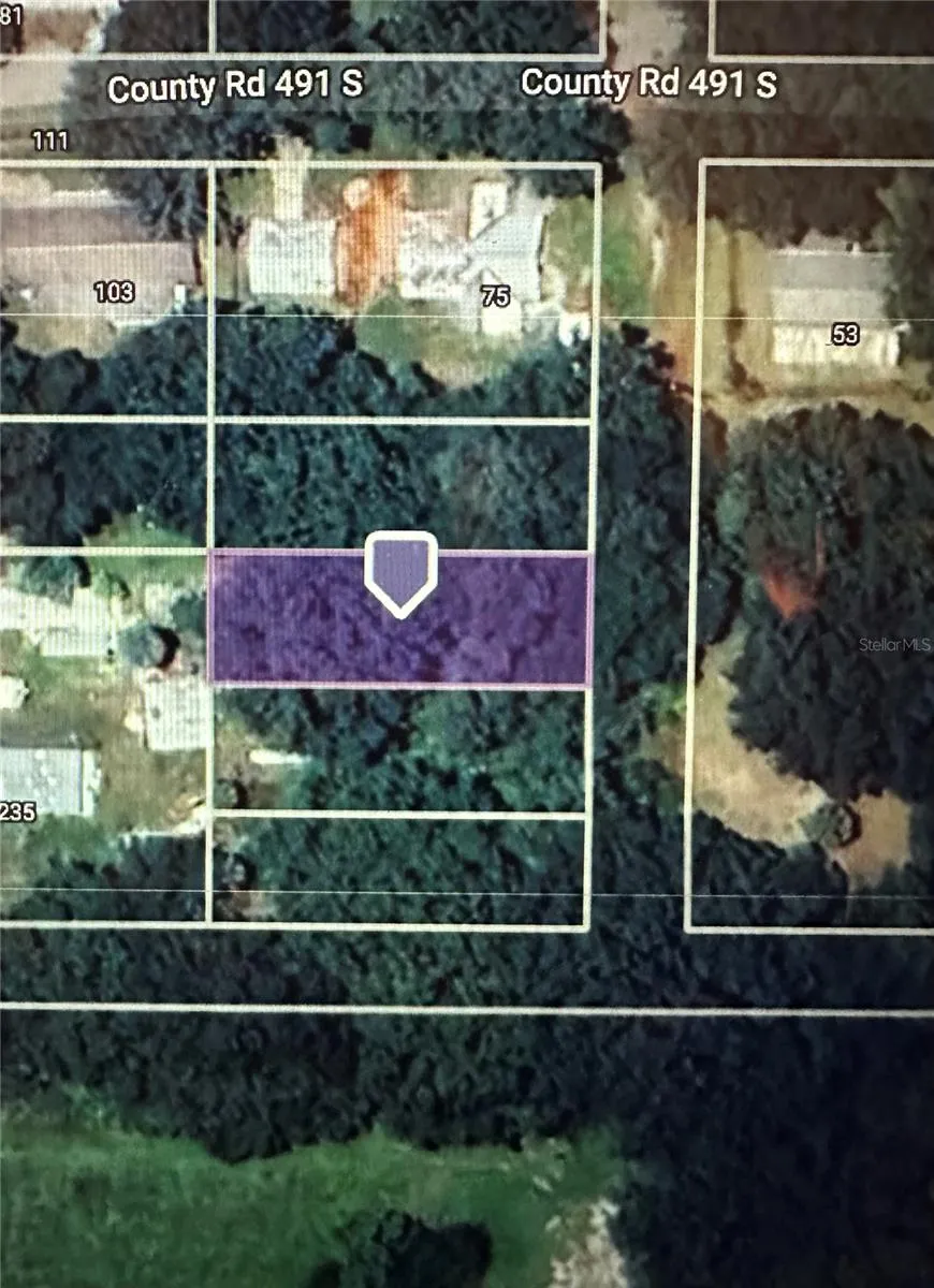 LOT #4 Lake Panasoffkee, FL 33538
