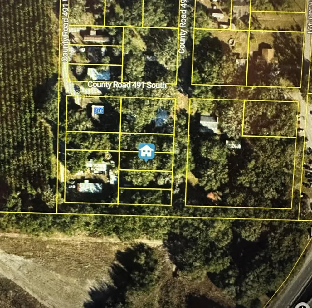 LOT #4 Lake Panasoffkee, FL 33538