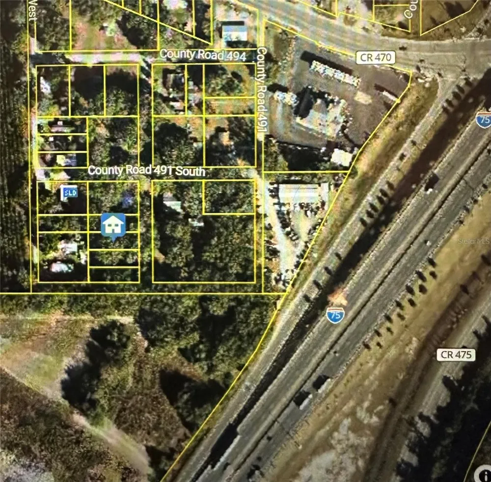 LOT #4 Lake Panasoffkee, FL 33538