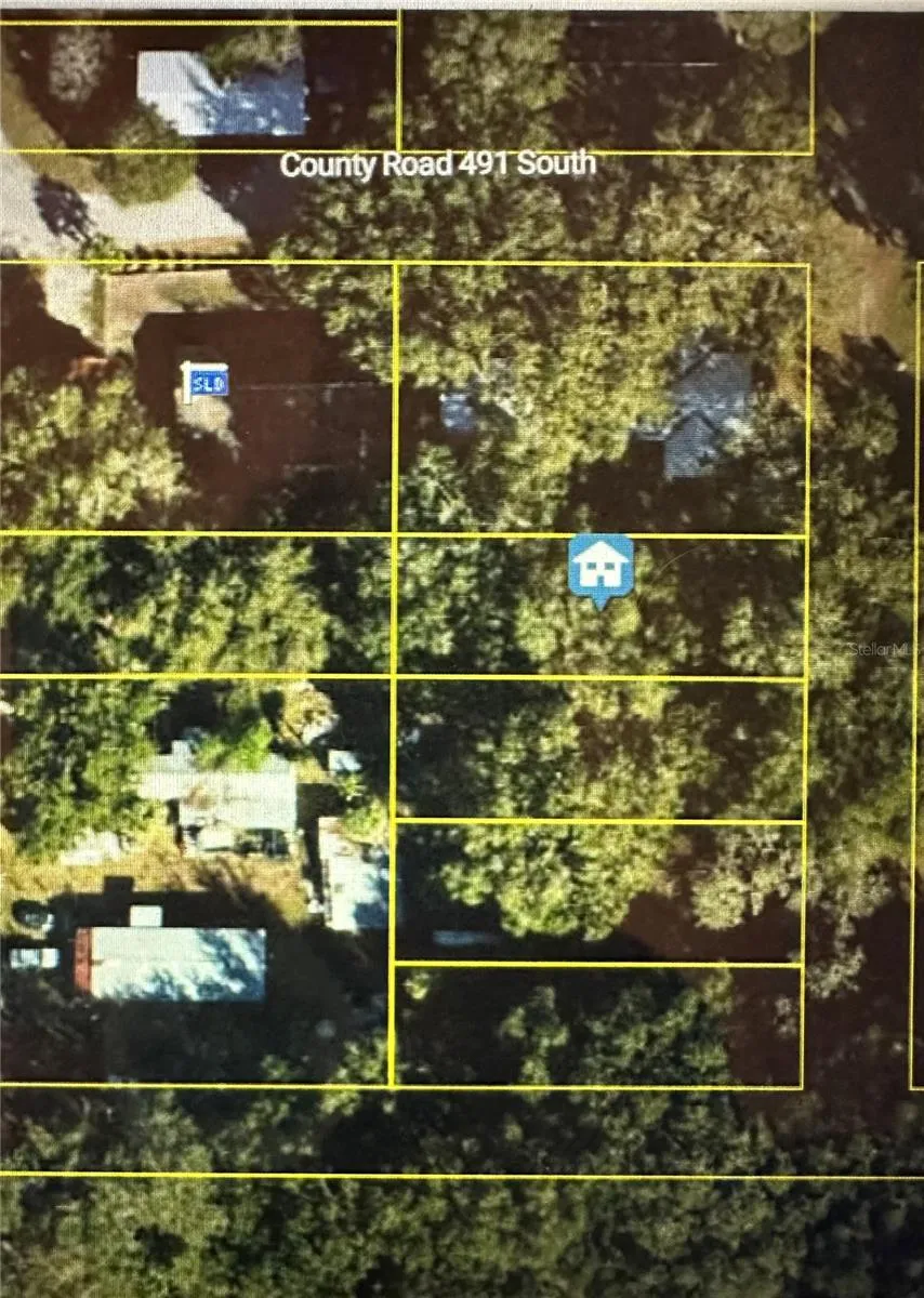 LOT #3 Lake Panasoffkee, FL 33538