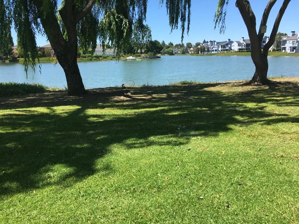 577 Anchor Circle Redwood City, CA 94065