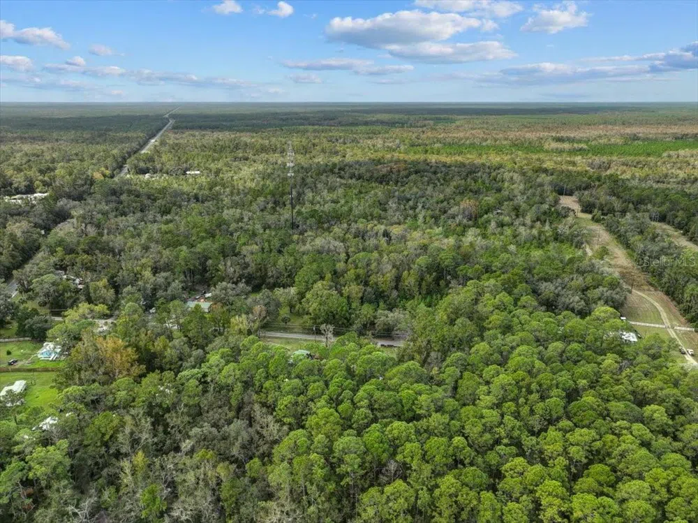 310 OTTER CREEK AVENUE Bronson, FL 32621