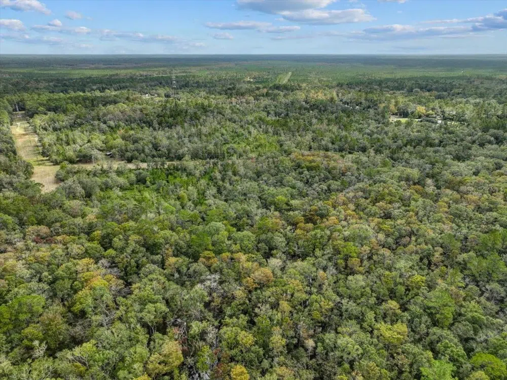 310 OTTER CREEK AVENUE Bronson, FL 32621
