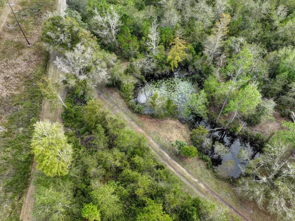 310 OTTER CREEK AVENUE Bronson, FL 32621