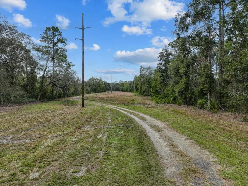 310 OTTER CREEK AVENUE Bronson, FL 32621