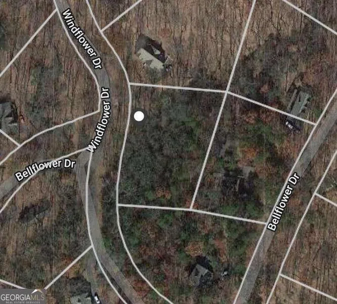 114 Windflower DR Big Canoe, GA 30143
