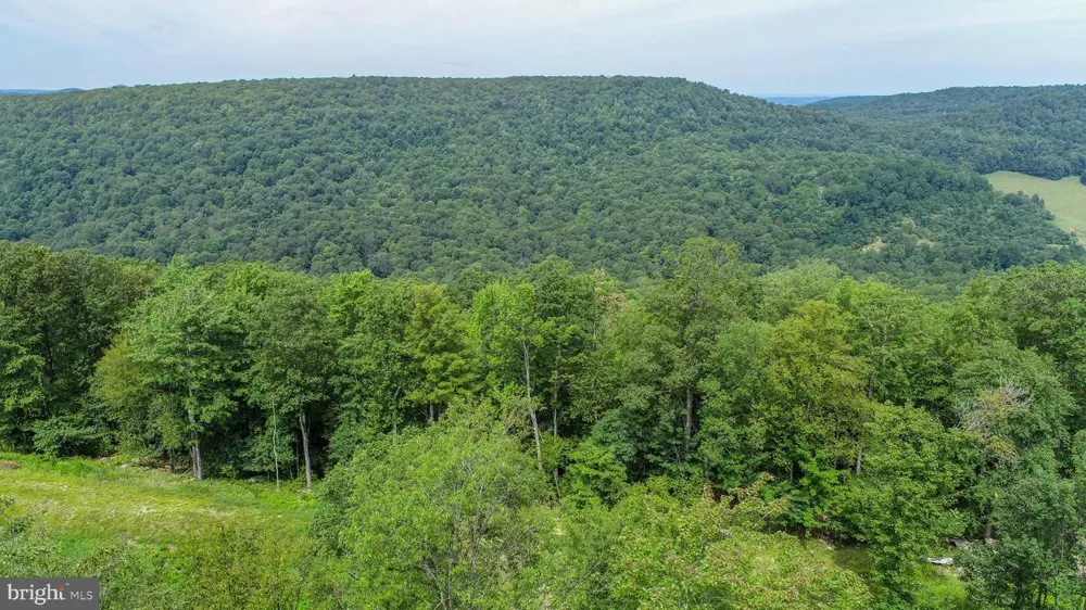 ROCKY GAP TRL Mc Henry, MD 21541