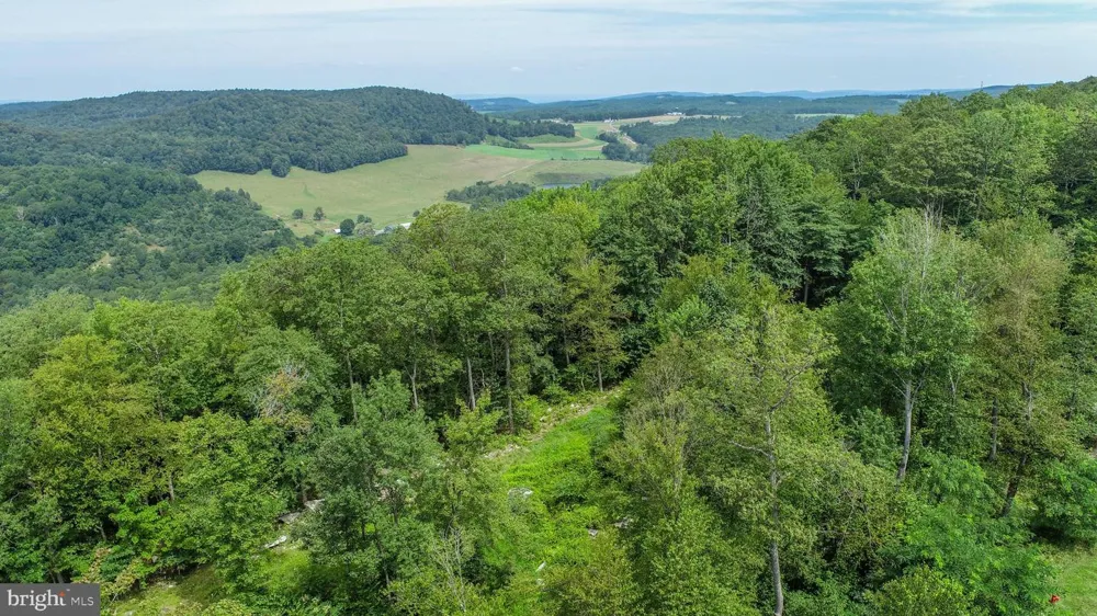 ROCKY GAP TRL Mc Henry, MD 21541