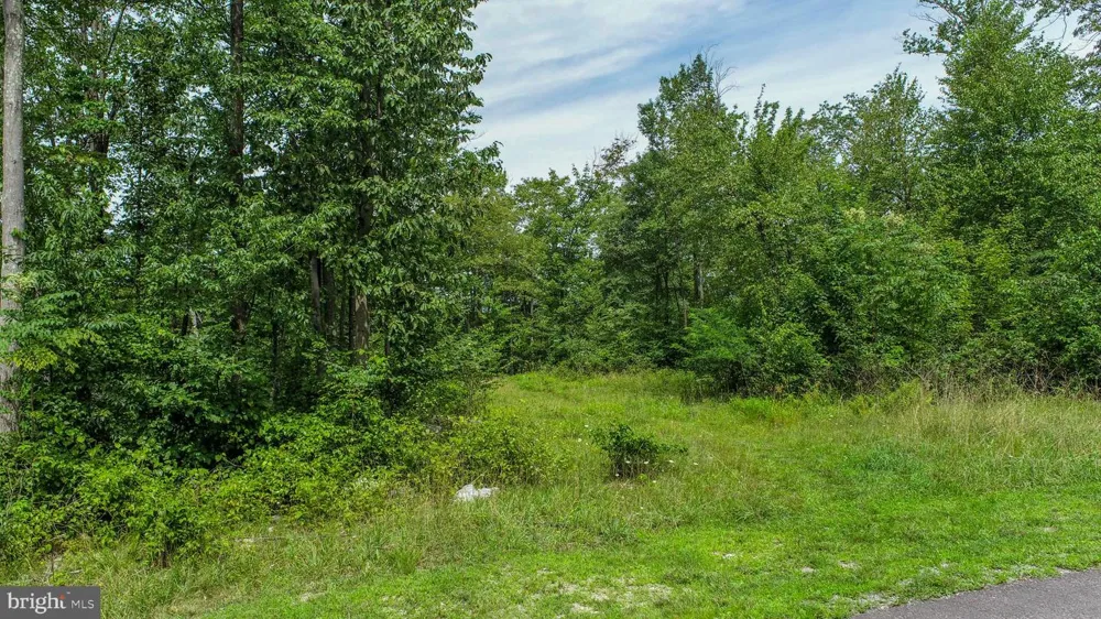 ROCKY GAP TRL Mc Henry, MD 21541