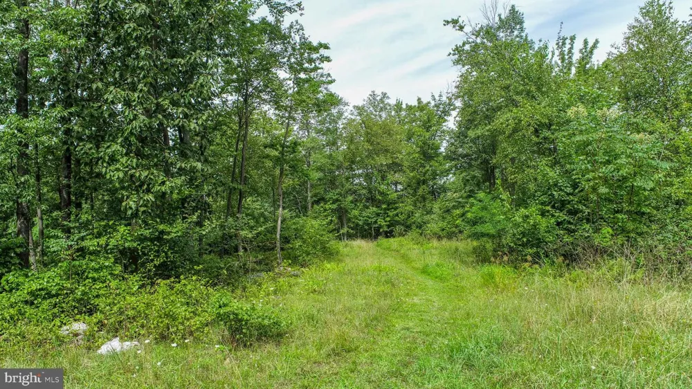 ROCKY GAP TRL Mc Henry, MD 21541