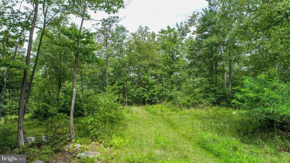 ROCKY GAP TRL Mc Henry, MD 21541