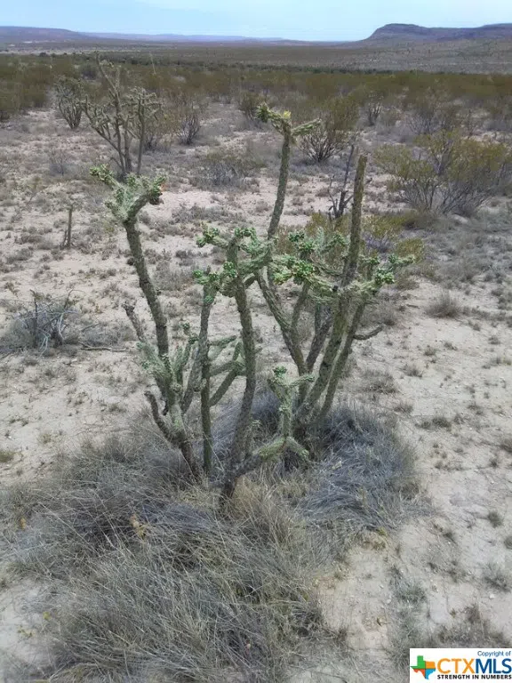Goat Way Road Sierra Blanca, TX 79851