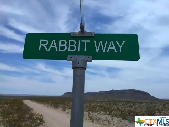Goat Way Road Sierra Blanca, TX 79851