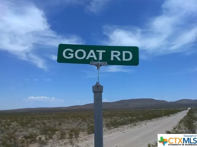 Goat Way Road Sierra Blanca, TX 79851