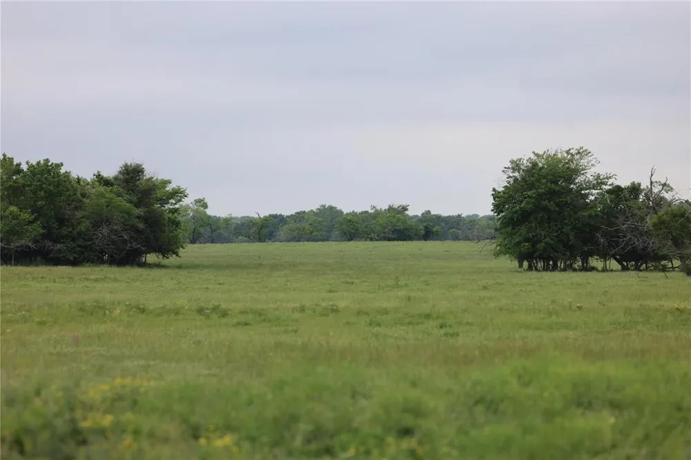 308 Fcr 995 Wortham, TX 76693