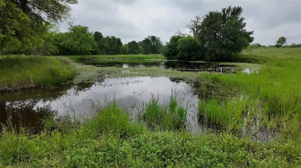 308 Fcr 995 Wortham, TX 76693