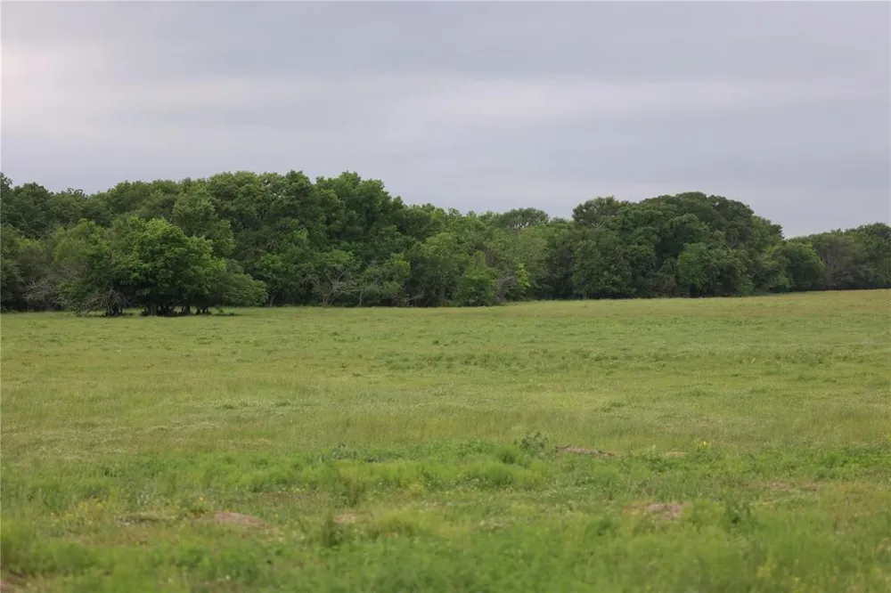308 Fcr 995 Wortham, TX 76693