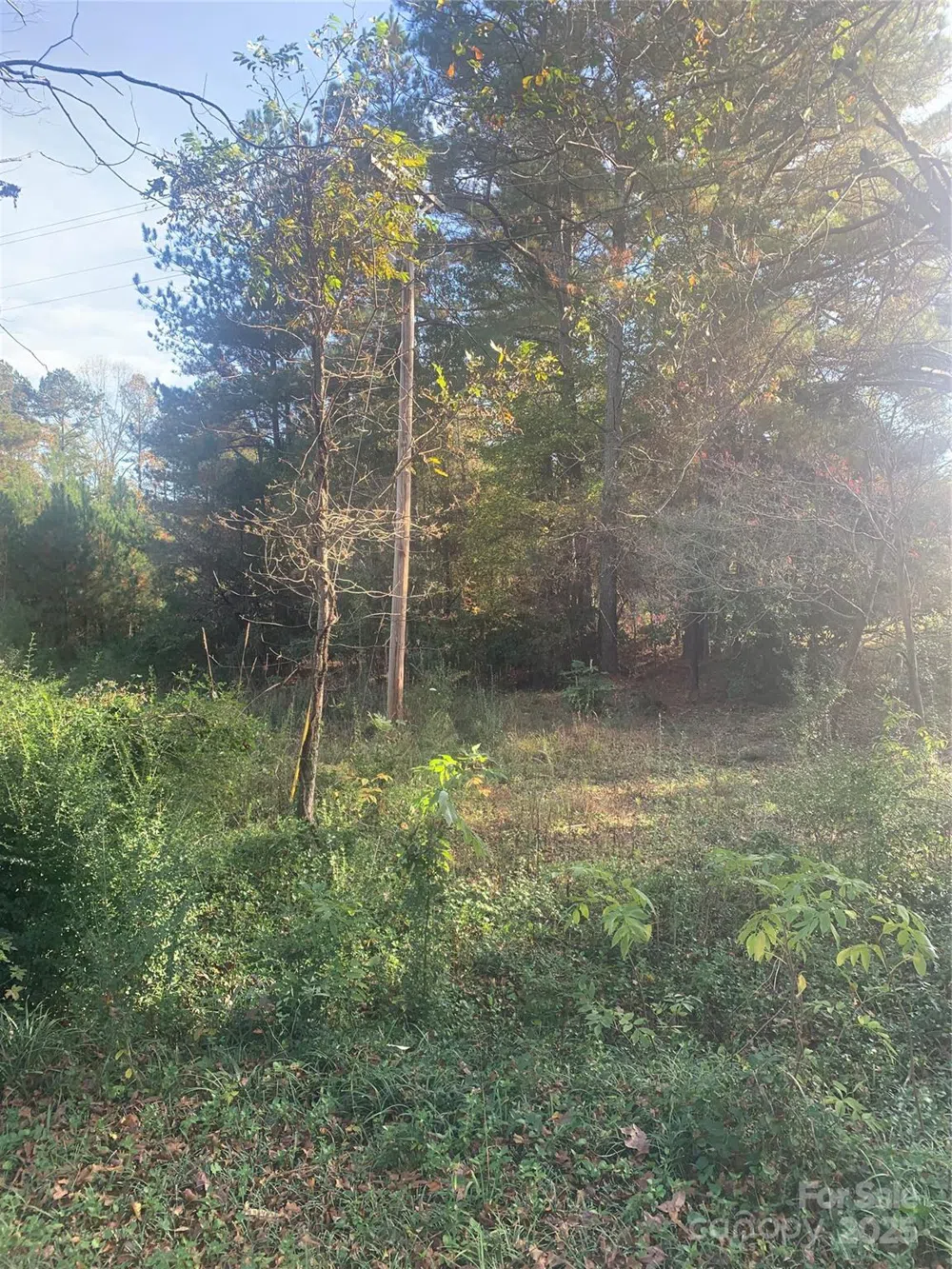 0001 Mayberry Road Dallas, NC 28034
