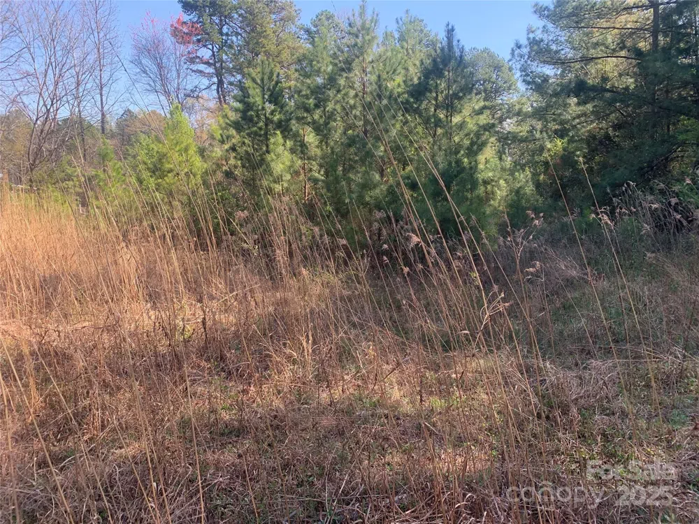 0001 Mayberry Road Dallas, NC 28034