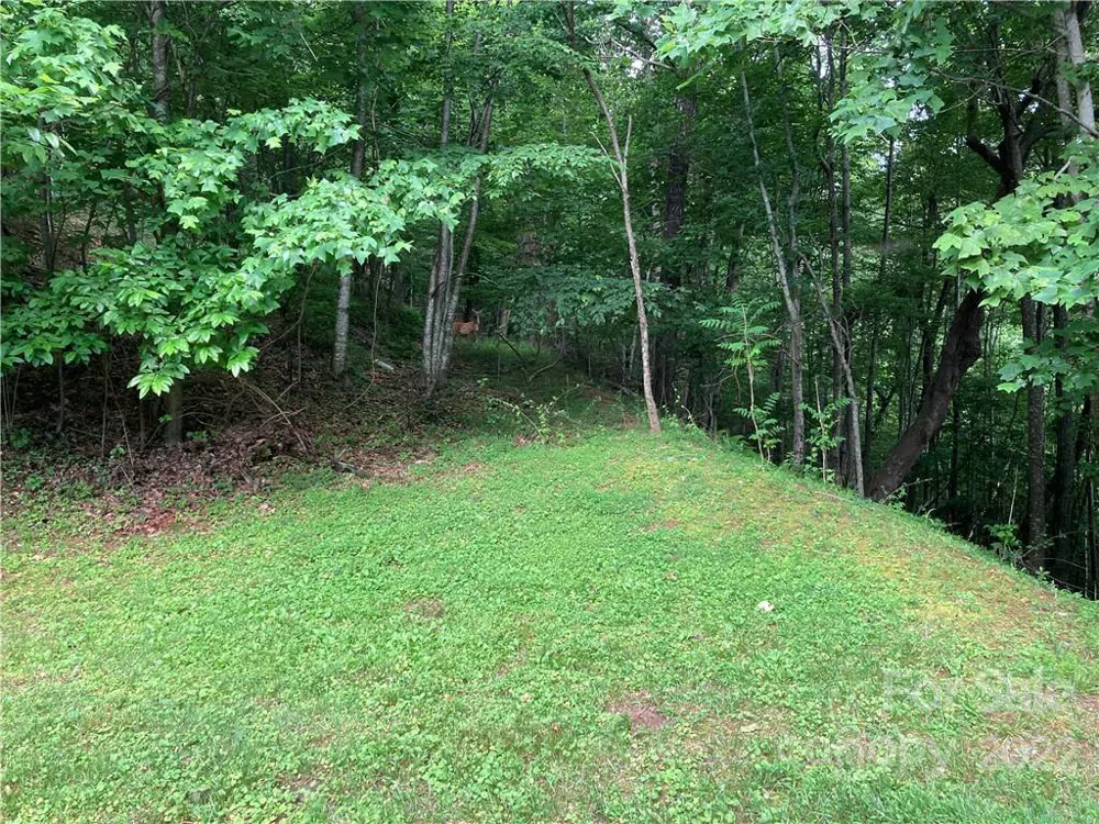 1161 Standing Deer Trace #130 Arden, NC 28704