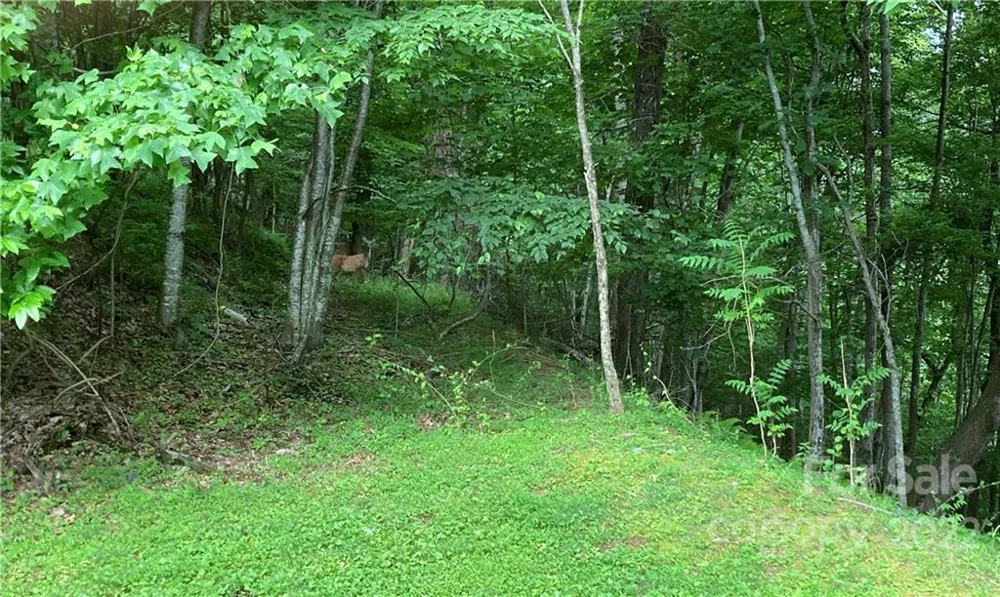 1161 Standing Deer Trace #130 Arden, NC 28704