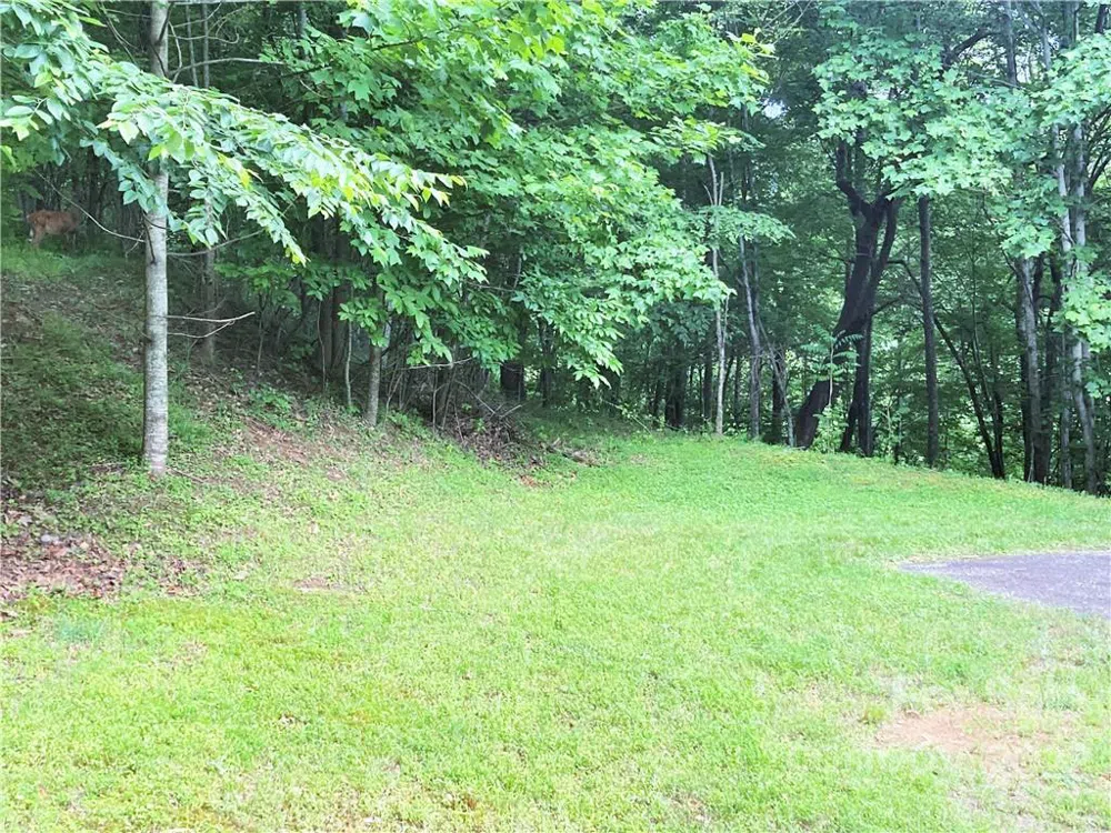 1161 Standing Deer Trace #130 Arden, NC 28704