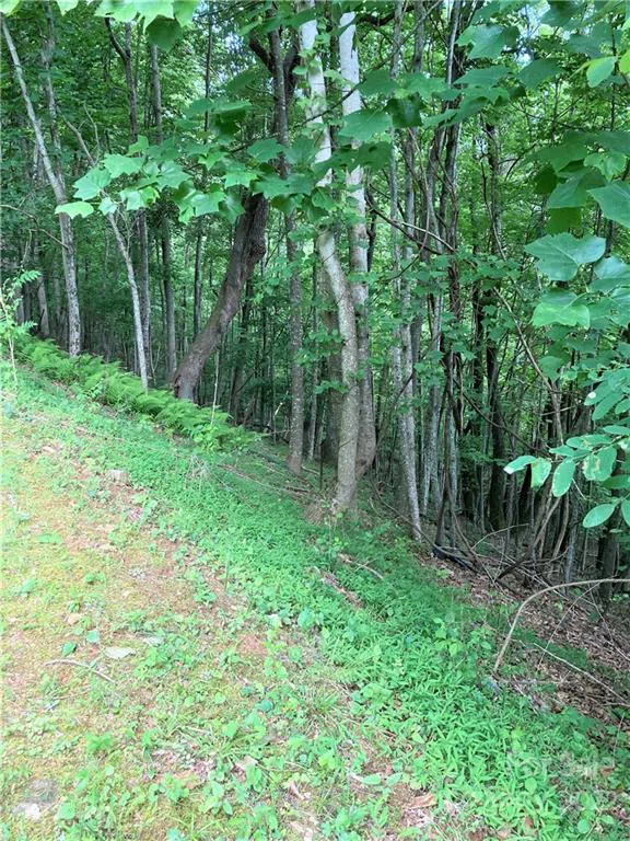 1161 Standing Deer Trace #130 Arden, NC 28704