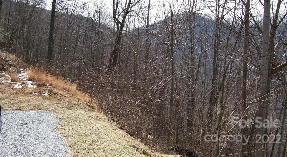 1161 Standing Deer Trace #130 Arden, NC 28704