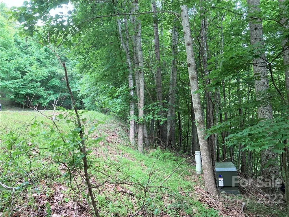 1161 Standing Deer Trace #130 Arden, NC 28704