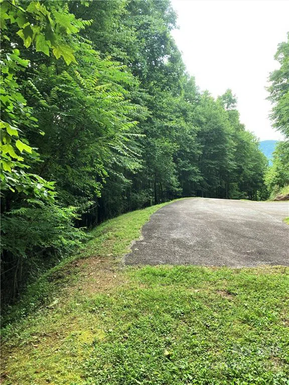 1161 Standing Deer Trace #130 Arden, NC 28704
