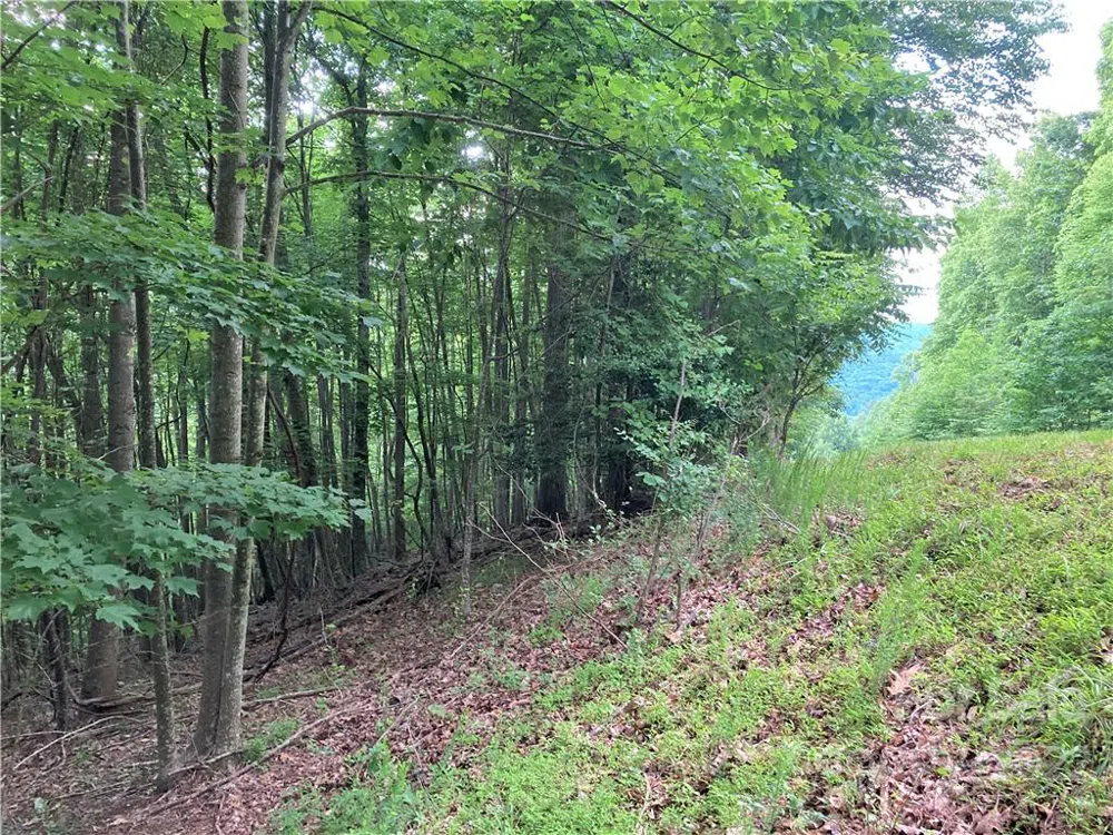 1161 Standing Deer Trace #130 Arden, NC 28704