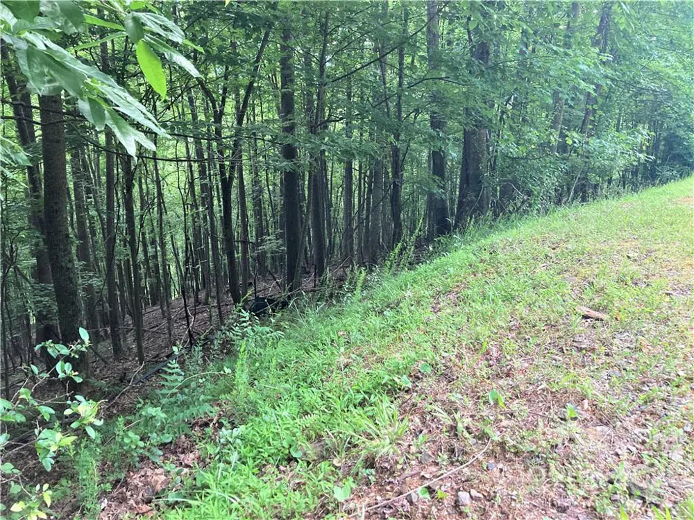 1161 Standing Deer Trace #130 Arden, NC 28704