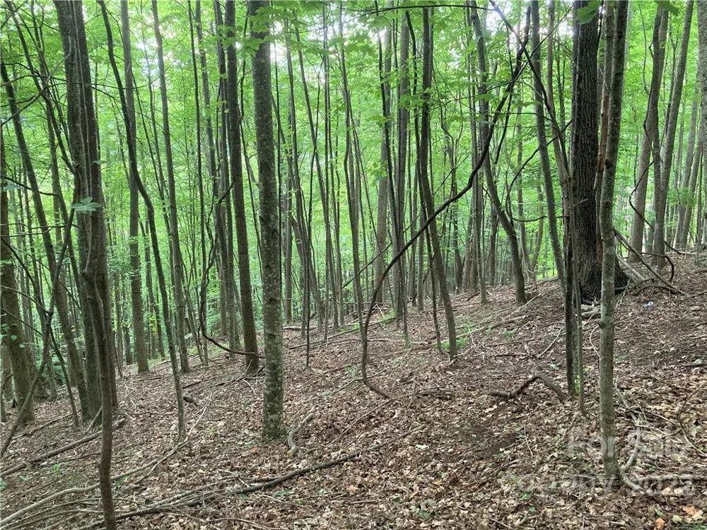 1161 Standing Deer Trace #130 Arden, NC 28704