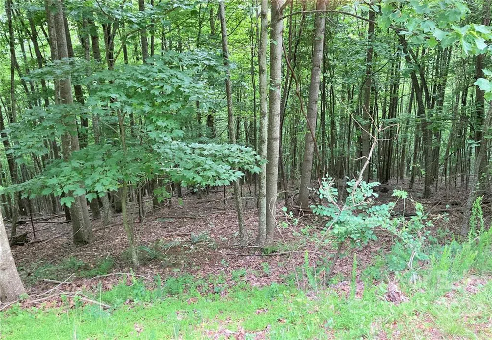 1161 Standing Deer Trace #130 Arden, NC 28704