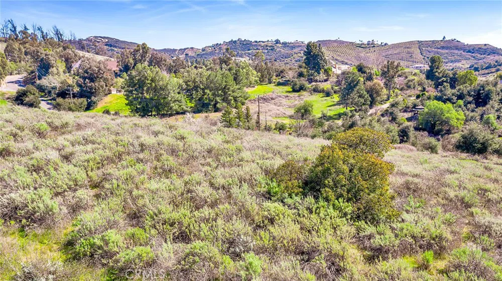 Calle Capistrano Temecula, CA 92590