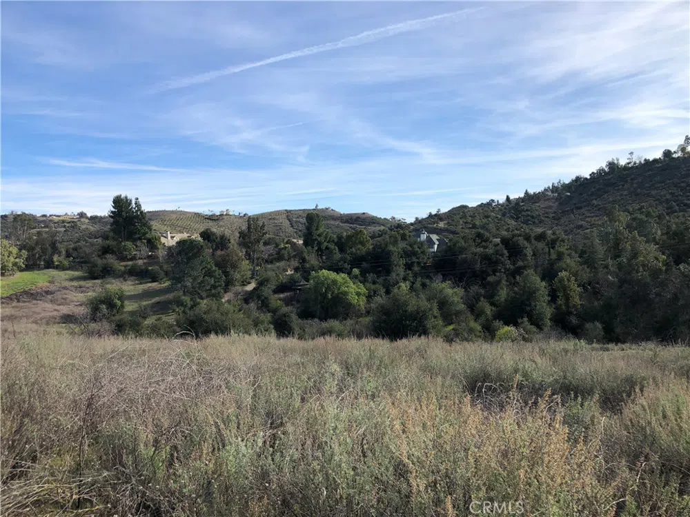 Calle Capistrano Temecula, CA 92590