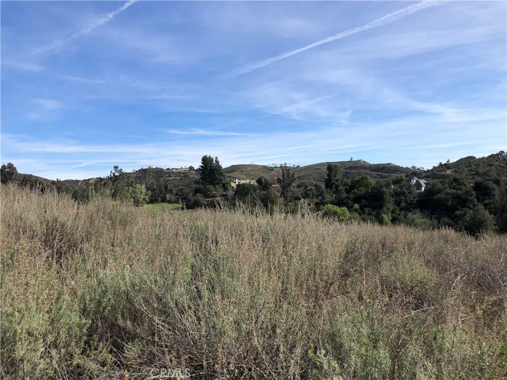Calle Capistrano Temecula, CA 92590