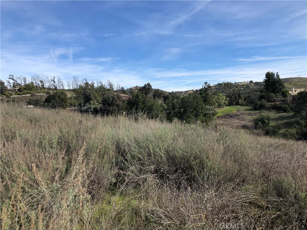 Calle Capistrano Temecula, CA 92590