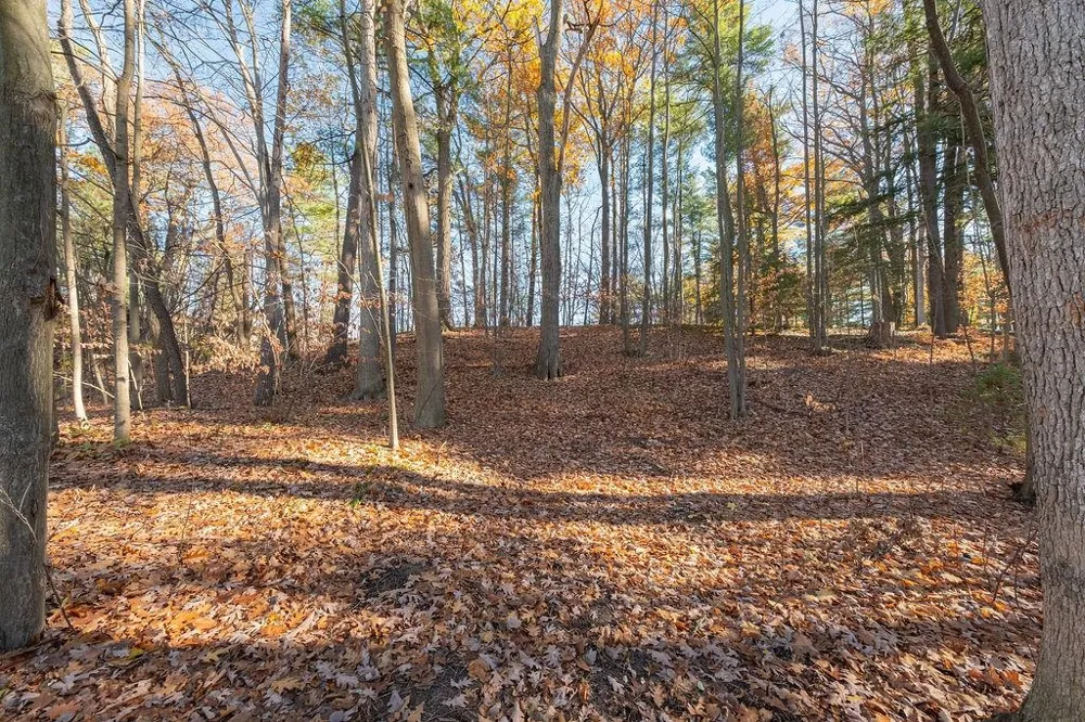 1242 Randall Court Traverse City City, MI 49686