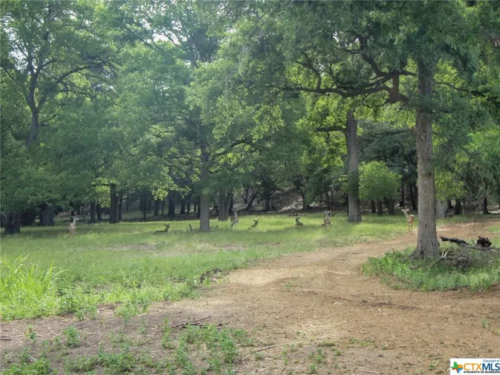 636 Angelica Vista Canyon Lake, TX 78133