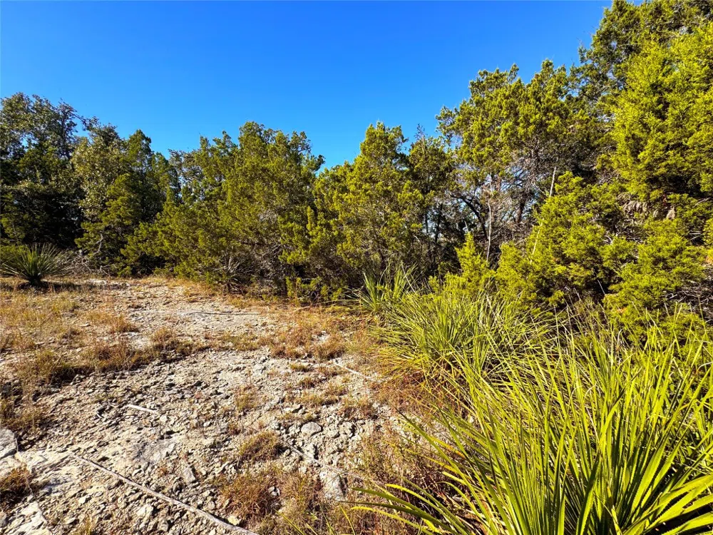 636 Angelica Vista Canyon Lake, TX 78133