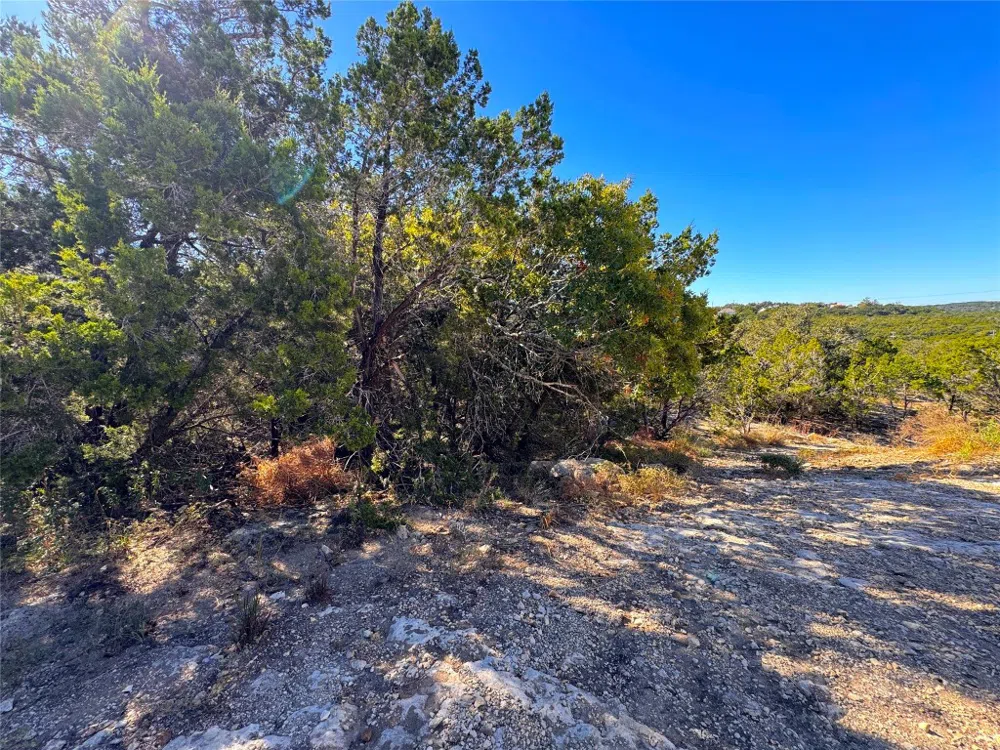 636 Angelica Vista Canyon Lake, TX 78133
