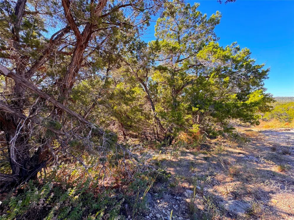 636 Angelica Vista Canyon Lake, TX 78133