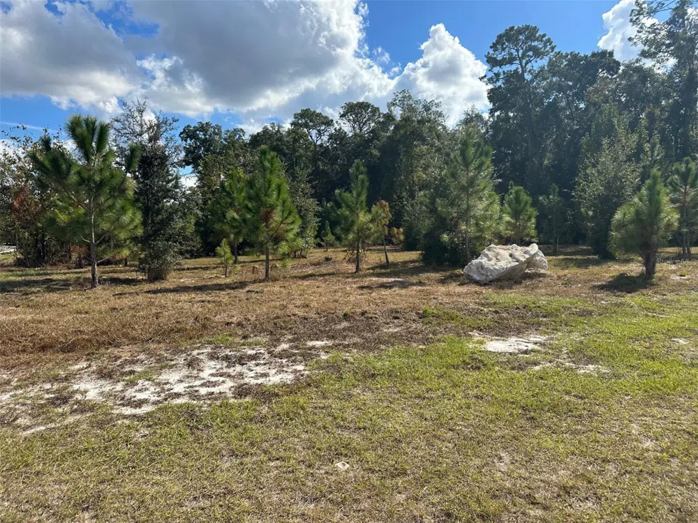 TBD SW 24TH AVENUE Gainesville, FL 32607