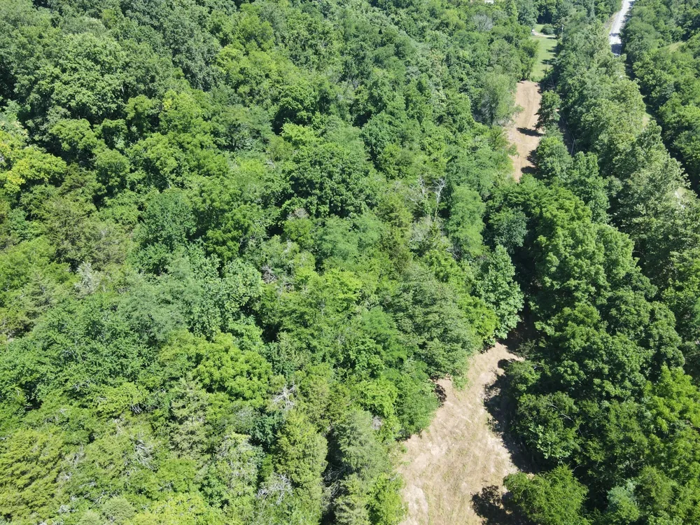 0 Gossburg Road Beechgrove, TN 37018