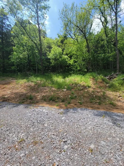 0 Gossburg Road